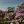 Dobele Lilac Festival